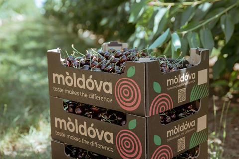 Moldovan cherry exports have started to increase